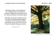 Im Wald der Boden-Dauthendey.pdf
